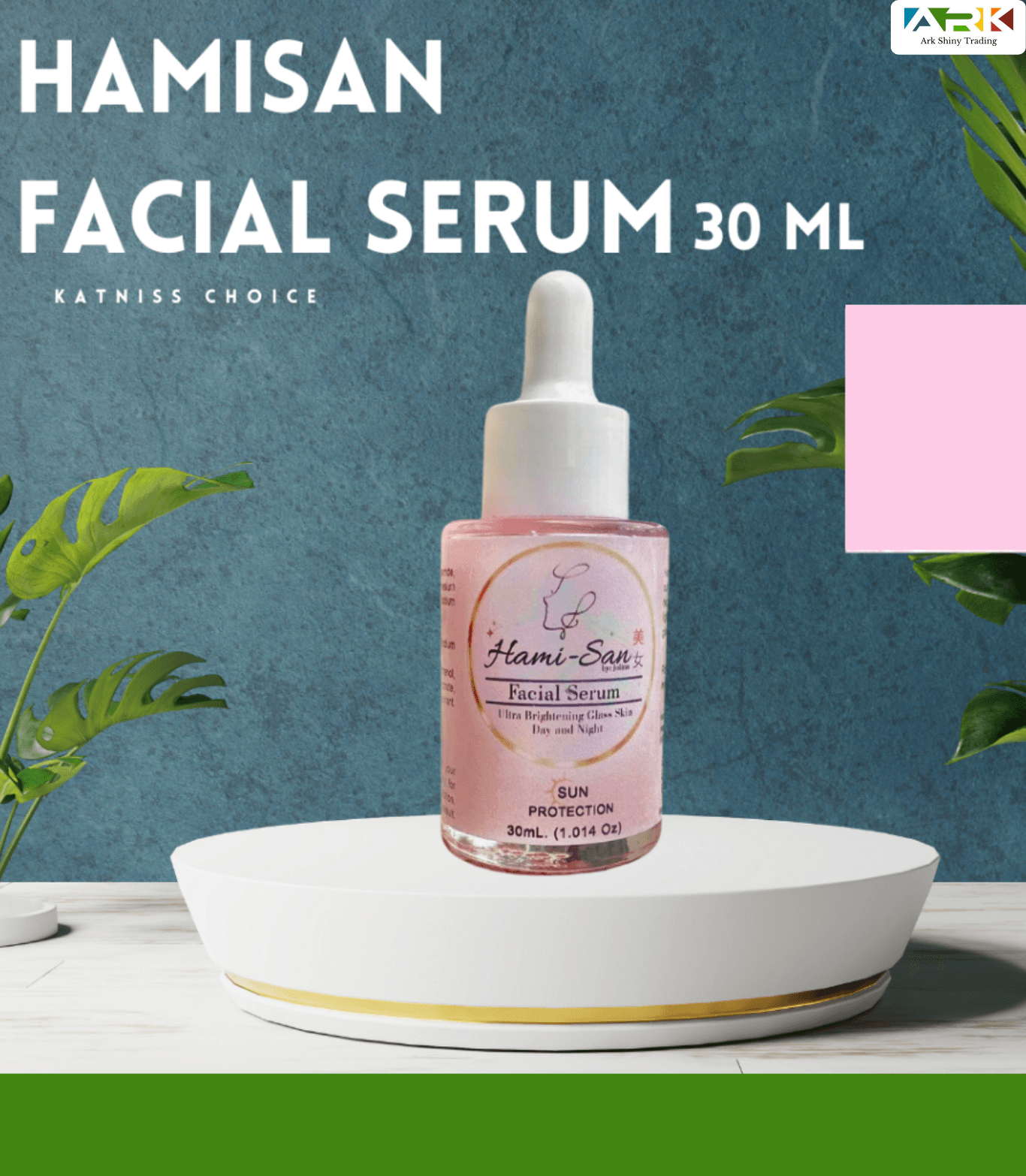 HAMISAN